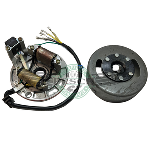 Zündung 12V Standard für Lifan Honda u.a. mit Polrad