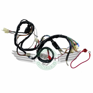 Kabelbaum Dax 12V für E Start Motoren